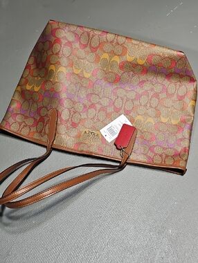 Coach C1316 City Tote Bag In Rainbow Signature Canvas Redwood NWT